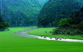 Vietnam Holiday Packages-Tam Coc NB